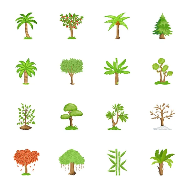 Zbiór Drzew Roślin Ilustracja Wektora — Wektor stockowy