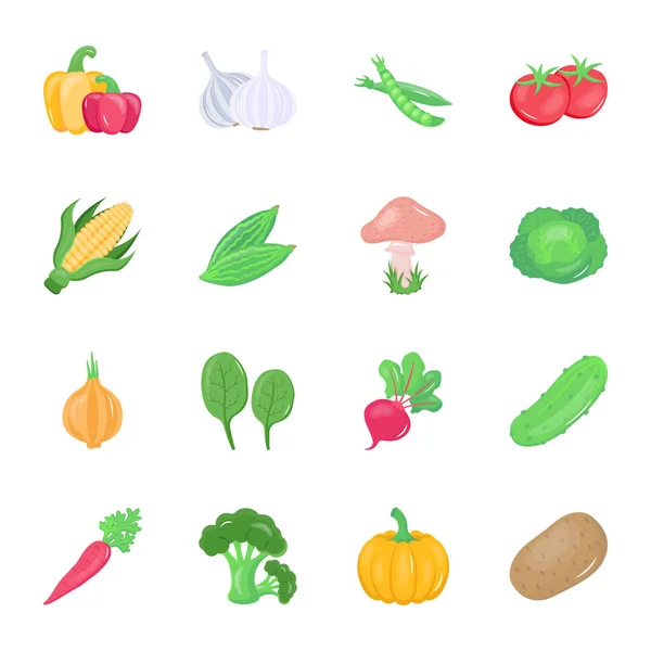 Ilustración Vectorial Verduras Frescas Ilustración Vectorial Diseño Simple — Vector de stock