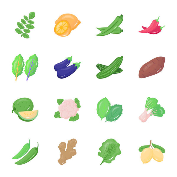 vector illustration of vegetables, set