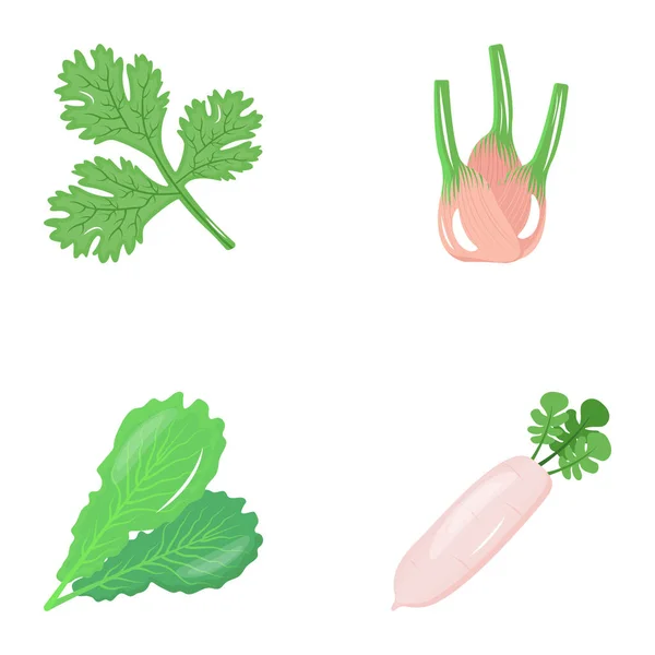 Verduras Verdes Frescas Ilustración Vectorial Diseño Simple — Vector de stock