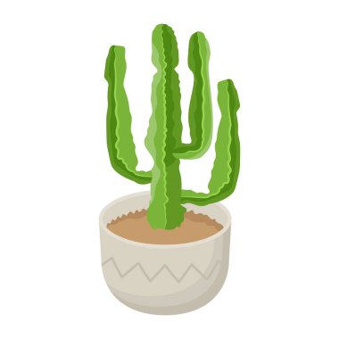 Tencerede kaktüs, vektör illüstrasyonu