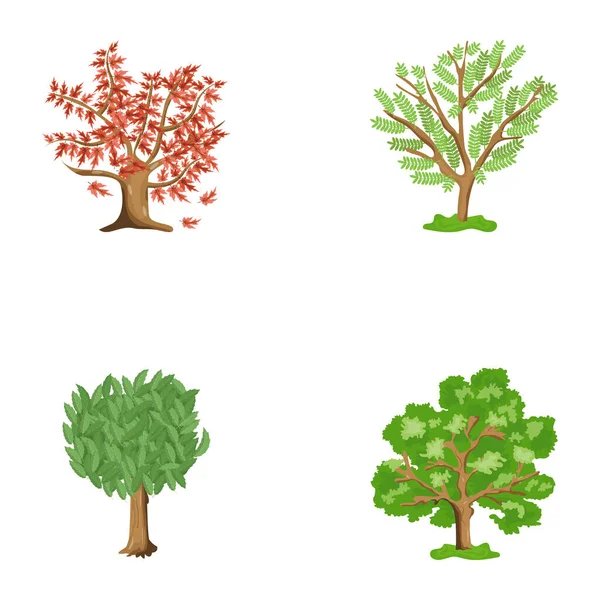 Uppsättning Träd Och Växter Vektor Illustration — Stock vektor