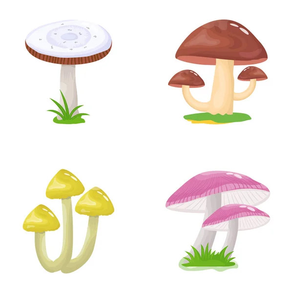 Champignons Pictogram Cartoon Illustratie — Stockvector