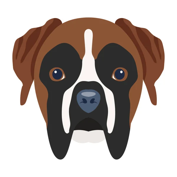Hundhuvud Ikonen Tecknad Taxa Hund Vektor Ikon — Stock vektor