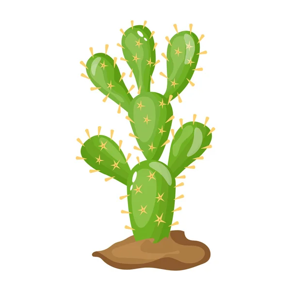Kaktus Dalam Pot Gambar Vektor - Stok Vektor