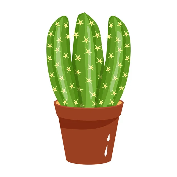 Kaktus Dalam Pot Gambar Vektor - Stok Vektor