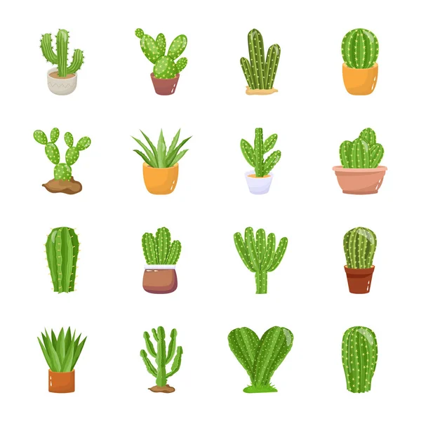 Ensemble Illustrations Vectorielles Plantes Cactus Isolées Sur Fond Blanc — Image vectorielle