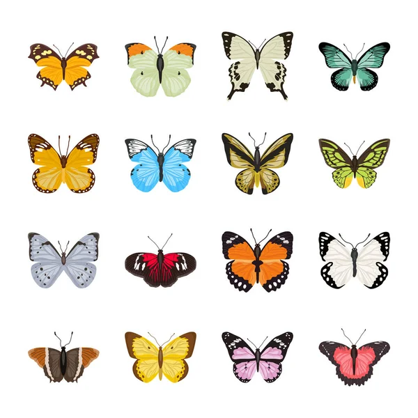 Butterfly Isolated White Background Set — Stock Vector