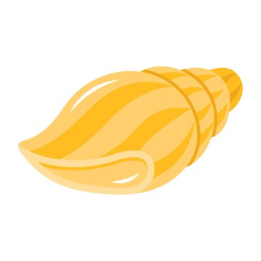 Deniz kabuğunun vektör çizimi