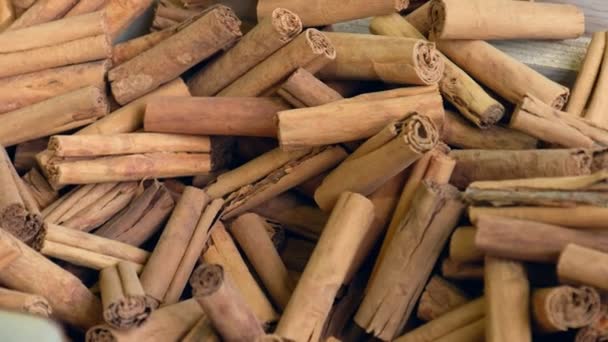 Ceylon skořice ze srí lanka tyčinky dekorativní pozadí textury — Stock video