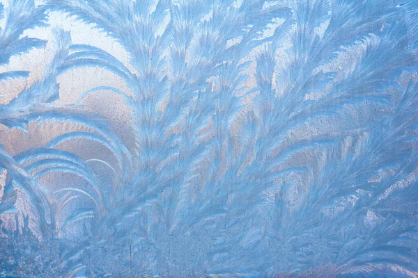 Mrazivé led vzory na skle jsou dendrites, podobně jako bizarní rostliny. Zima, Vánoce — Stock fotografie