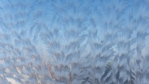 Mrazivé led vzory na skle jsou dendrites, podobně jako bizarní rostliny. Zima, Vánoce — Stock fotografie