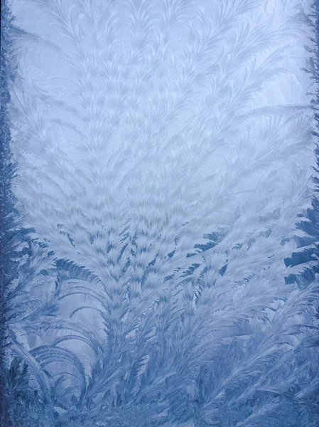 The magical frosty pattern on the window glass resembles outlandish plants. Natural texture — Stock Photo, Image
