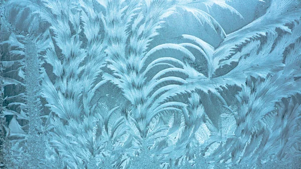Magický mrazivý vzor na okenním skle připomíná bizarní rostliny. Přírodní textura — Stock fotografie
