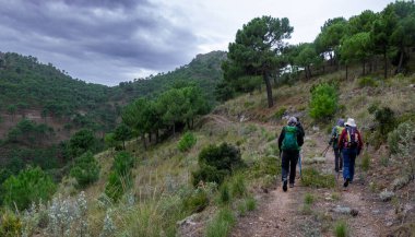Sierra de Almiijara ve Tejeda 'da çam ağaçları ve bulutlu gökyüzü boyunca yürüyen yürüyüşçüler.