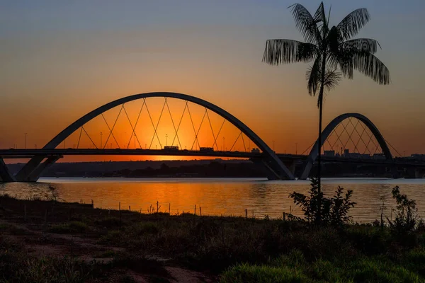 Coucher Soleil Pont Brasilia Brésil Silhouette Palmier Bord Lac Parano — Photo