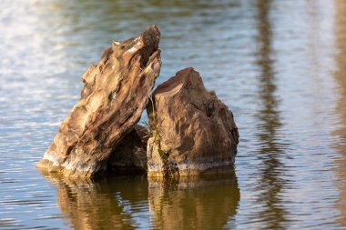 Gölün ortasında bir kaya..