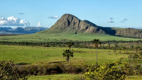 Brezilya 'nın batısındaki cerrrado biyomunun tipik ağaçlarıyla çevrili bir dağ. Manzara. Moriche avuç içi. Chapada. Maytreia Kayası. Doğa fotoğrafçısı. Doğada Yaşam