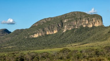 Brezilya 'nın batısındaki cerrrado biyomunun tipik ağaçlarıyla çevrili bir dağ. Manzara. Moriche avuç içi. Chapada. Baleia Kayası. Doğa fotoğrafçısı. Doğada Yaşam