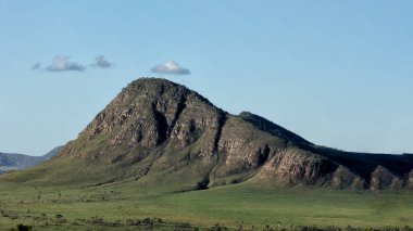Brezilya 'nın batısındaki cerrrado biyomunun tipik ağaçlarıyla çevrili bir dağ. Manzara. Moriche avuç içi. Chapada. Maytreia Kayası. Doğa fotoğrafçısı. Doğada Yaşam