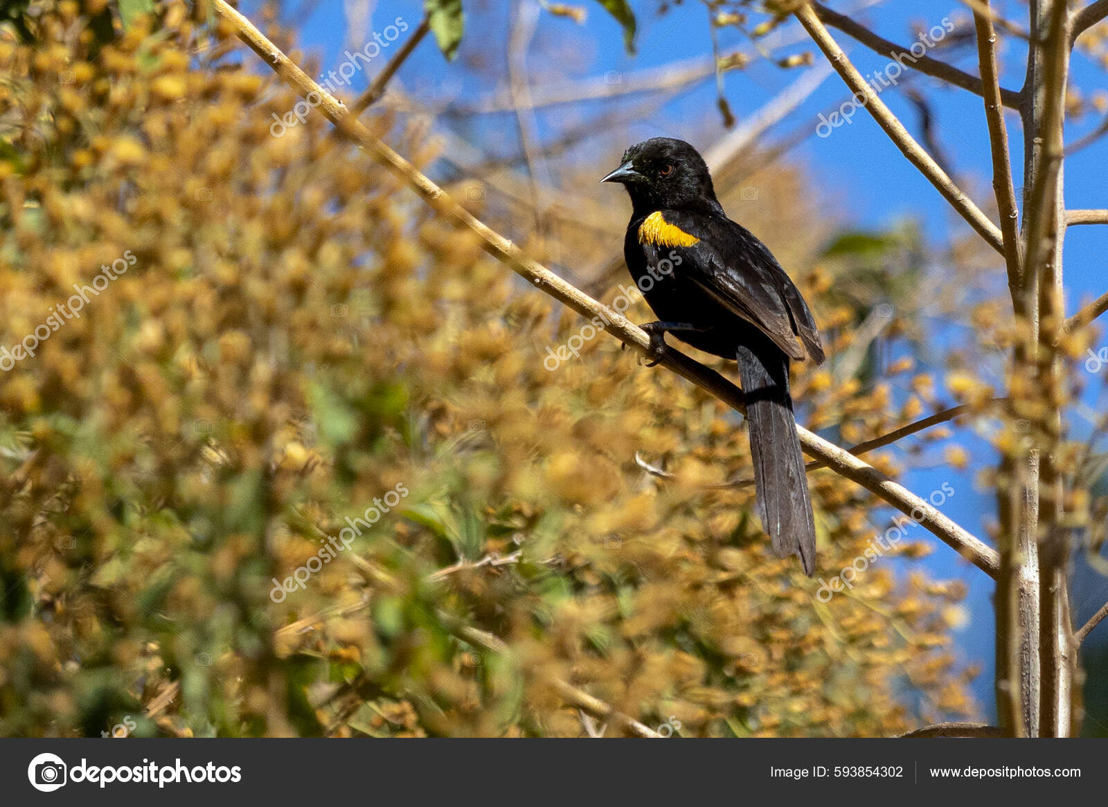 el taburete, image size:1600x1166