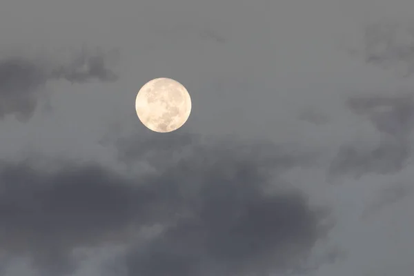 Uma Super Lua Céu Cinzento Lua Amarela Natureza — Fotografia de Stock