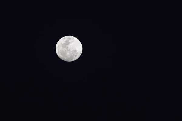 Super Moon Dark Sky Bright Moon Nature — Stockfoto