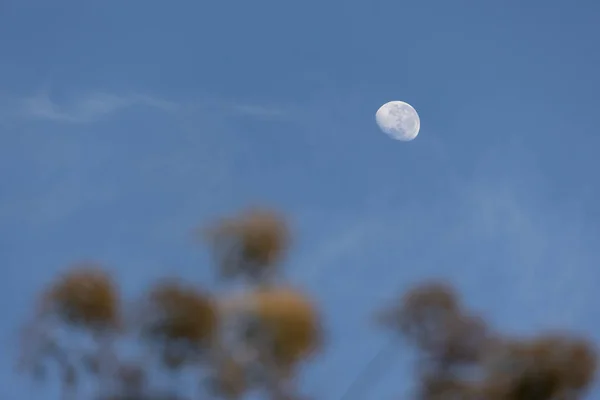 Waxing moon phase in blue sky. Nature stunning.