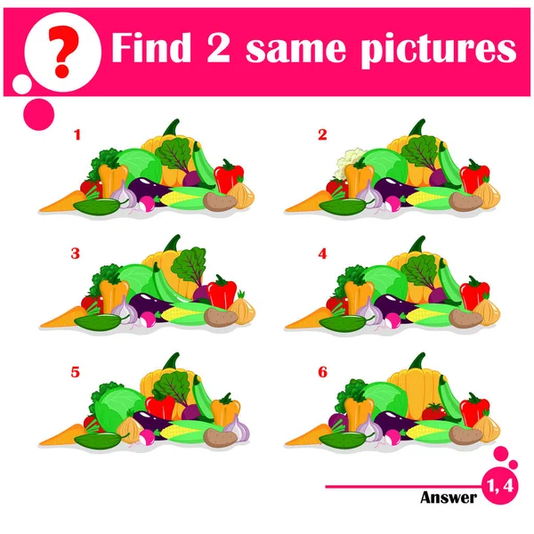 Trouvez deux mêmes photos. Ensemble de légumes — Image vectorielle