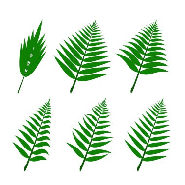Yeşil palmiye yaprakları. Vektör illüstrasyonu