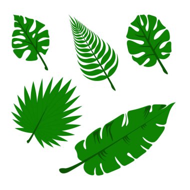 Yeşil tropik palmiye yaprakları. Vektör illüstrasyonu