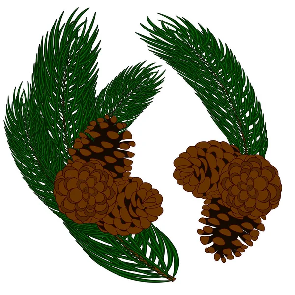 Yeşil kozalaklı kozalaklı dallar.