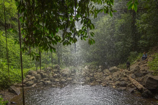 Detrás Una Cascada Cayendo Una Piscina Rocas Parque Nacional Dorrigo —  Fotos de Stock