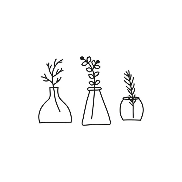 Doodle Skissera Vilda Växter Örter Kvistar Bär Vaser Isolerade Vit — Stock vektor