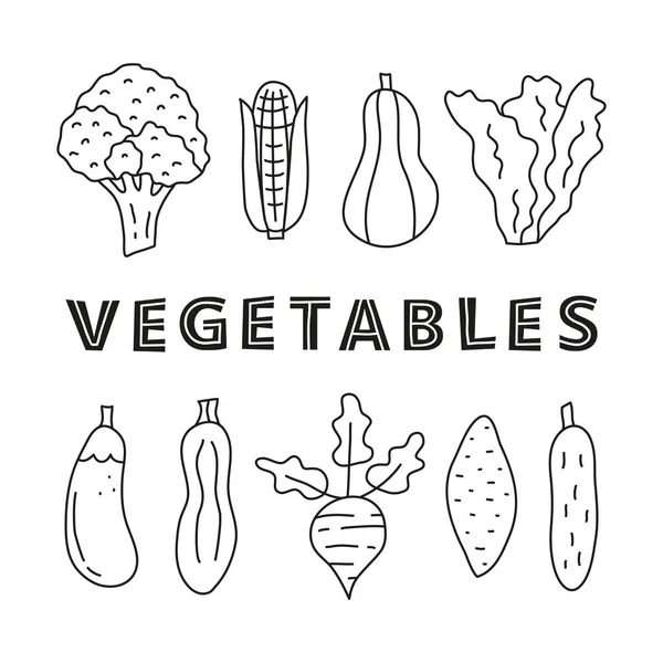Poster Mit Niedlichen Kritzeleien Umreißen Lebensmittel Gemüse Symbole Wie Brokkoli — Stockvektor