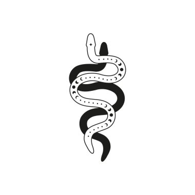 Beyaz arka planda izole edilmiş ay evreleri olan iki boho göksel yılan. Bohem sürüngenler. Mistik illüstrasyon. Sihirli dövme tasarımı. Simya sembolü.