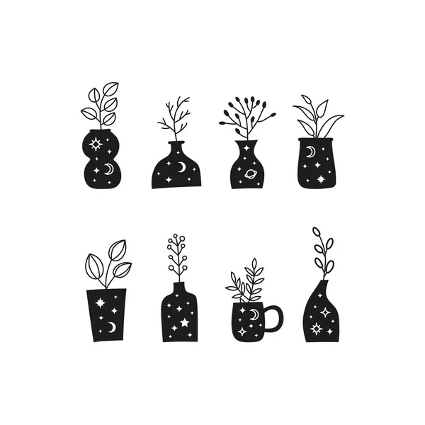 Set Von Verschiedenen Schwarzen Himmlischen Zimmerpflanzen Kräutern Zweigen Beeren Vasen — Stockvektor