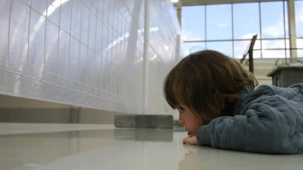 小さな男の子は不思議なことにエンクロージャの下を見て床に横たわっています — ストック動画