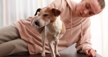 Evcil hayvan sahibi masada oturan üç bacaklı köpeği destekliyor.