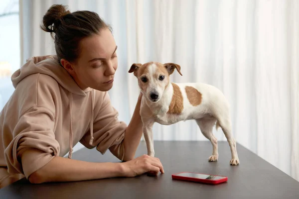 Dono do animal de estimação suporta o cão de três patas sentado à mesa Fotos De Bancos De Imagens