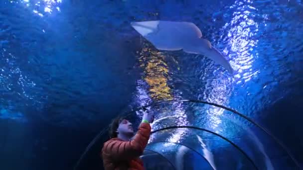 Jonge man schiet op telefoon gevoelloos in oceanarium tunnel — Stockvideo