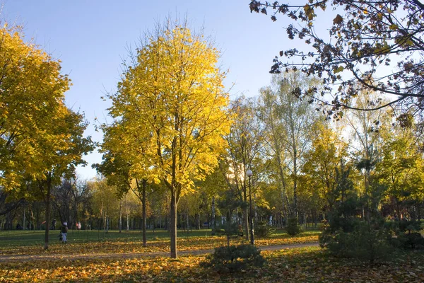 People Walking Autumn Park Otradny Kyiv Ukraine — Stock Photo, Image