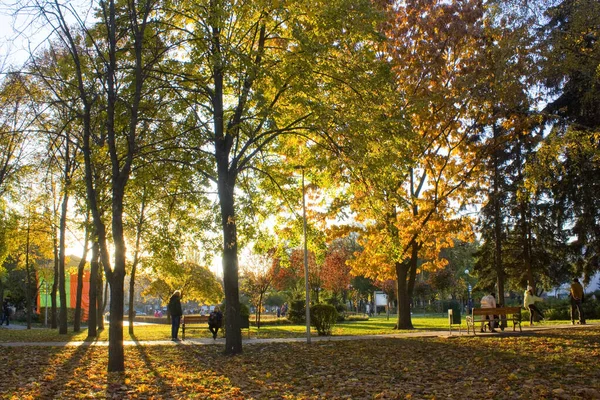 People Walking Autumn Park Otradny Kyiv Ukraine — Stock Photo, Image