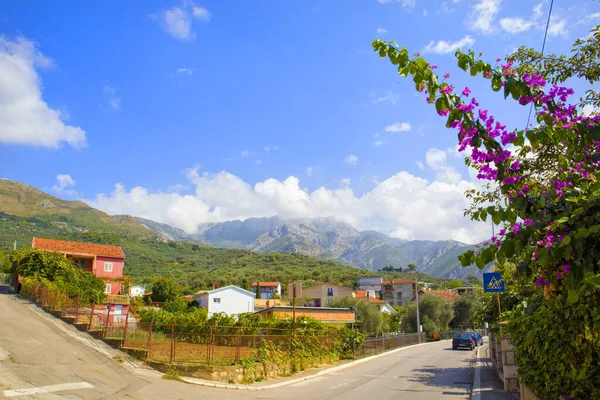 Vista Estrada Aldeia Montenegro — Fotografia de Stock