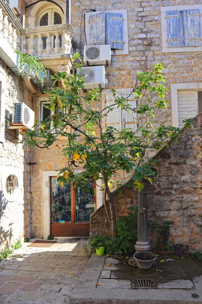 Historical Houses Old Town Budva Montenegro — Stock Photo, Image