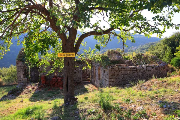 Ditinggalkan Rumah Pegunungan Montenegro — Stok Foto