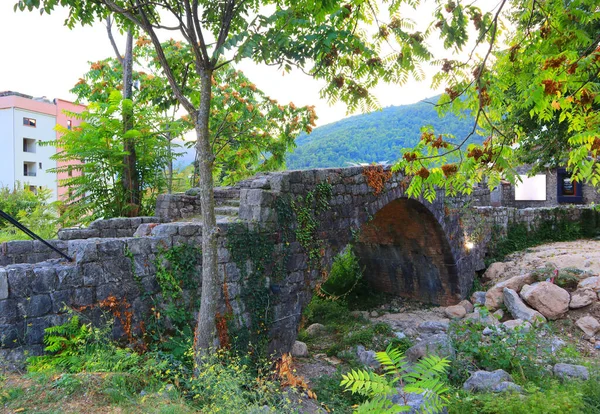 Antico Ponte Vicino Monastero Podmaine Budva Montenegro — Foto Stock