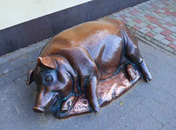 Sculpture Cochon Bronze Mirgorod Ukraine — Photo