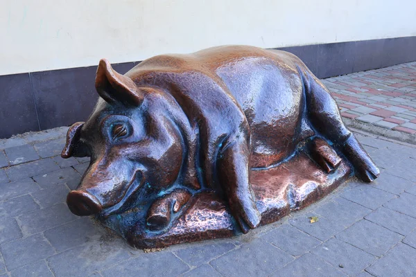 Sculpture Cochon Bronze Mirgorod Ukraine — Photo