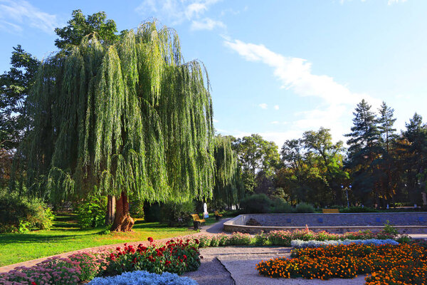 Park in Myrhorod resort, Ukraine